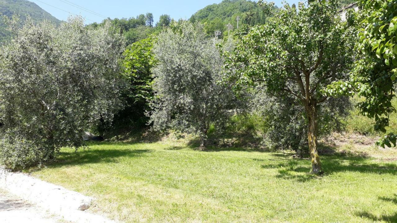 Villa Casa Gina Garden And View By Gardadomusmea à Tremosine Extérieur photo